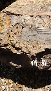 信用卡没还最低算不算逾期 信用卡没还最低算不算逾期