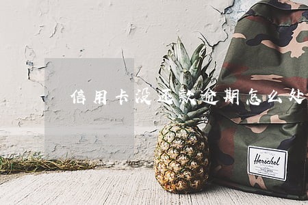 信用卡没还款逾期怎么处理 信用卡没还款逾期怎么处理