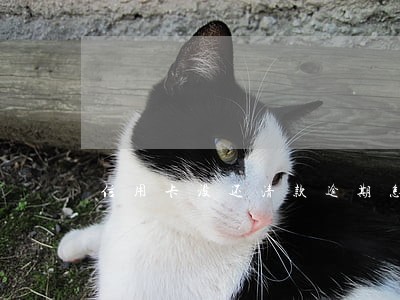 信用卡没还清款逾期怎么办 信用卡没还清款逾期怎么办
