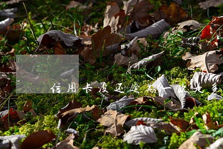 信用卡没还逾期一次是多久了 信用卡没还逾期一次是多久了