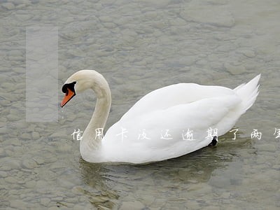 信用卡没还逾期了两年 信用卡没还逾期了两年