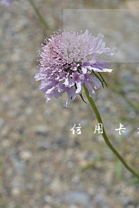 信用卡没还银行没到法院起诉 信用卡没还银行没到法院起诉