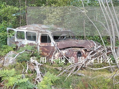信用卡没逾期为什么会被冻结 信用卡没逾期为什么会被冻结