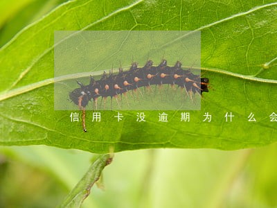 信用卡没逾期为什么会降额 信用卡没逾期为什么会降额