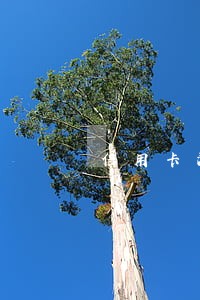 信用卡没逾期为什么会降额度 信用卡没逾期为什么会降额度