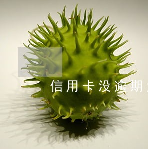 信用卡没逾期为什么征信不好