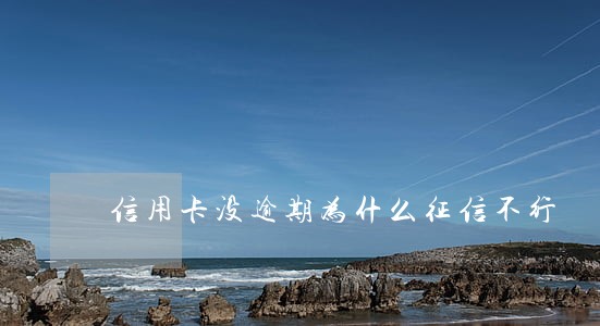 信用卡没逾期为什么征信不行 信用卡没逾期为什么征信不行