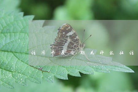 信用卡没逾期为什么征信异常 信用卡没逾期为什么征信异常