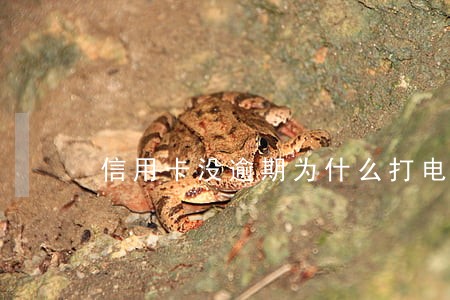 信用卡没逾期为什么打电话给别人 信用卡没逾期为什么打电话给别人