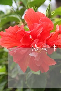 信用卡没逾期为什么被停卡 信用卡没逾期为什么被停卡