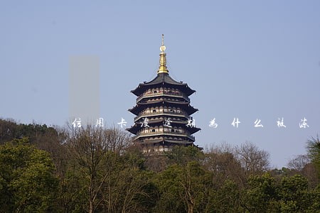 信用卡没逾期为什么被冻结了