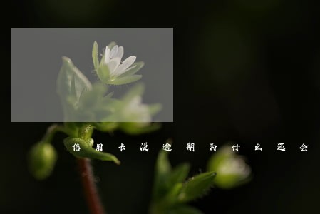 信用卡没逾期为什么还会被降额 信用卡没逾期为什么还会被降额