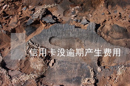 信用卡没逾期产生费用 信用卡没逾期产生费用