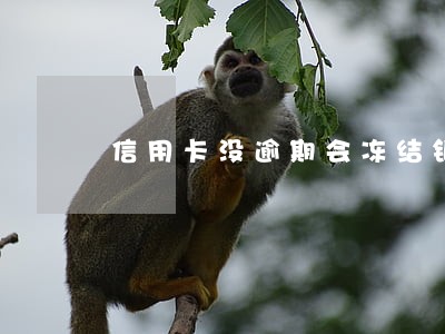 信用卡没逾期会冻结银行卡吗