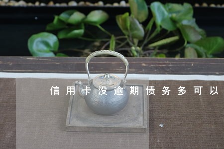 信用卡没逾期债务多可以协商吗