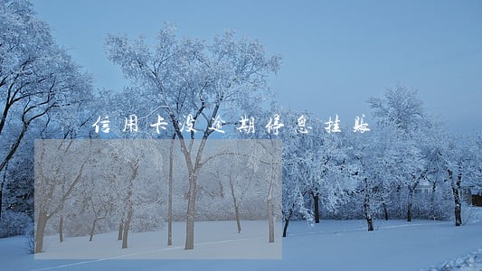 信用卡没逾期停息挂账 信用卡没逾期停息挂账