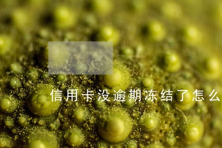 信用卡没逾期冻结了怎么办 信用卡没逾期冻结了怎么办