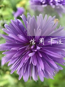 信用卡没逾期冻结是什么意思 信用卡没逾期冻结是什么意思