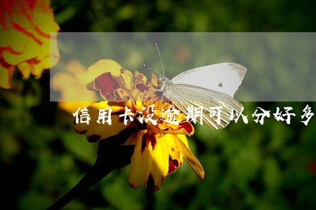 信用卡没逾期可以分好多期还