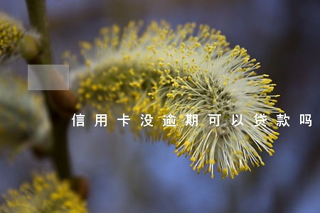 信用卡没逾期可以贷款吗 信用卡没逾期可以贷款吗