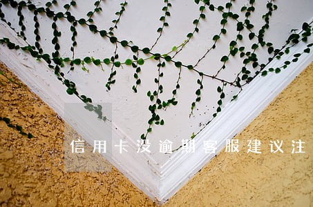 信用卡没逾期客服建议注销 信用卡没逾期客服建议注销