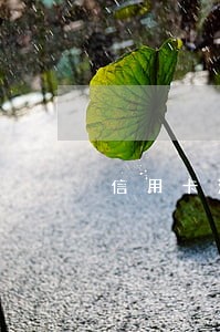 信用卡没逾期征信怎么那么多记录