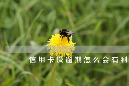 信用卡没逾期怎么会有利息 信用卡没逾期怎么会有利息