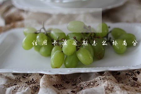 信用卡没逾期怎么协商分期还款 信用卡没逾期怎么协商分期还款