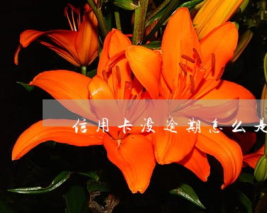 信用卡没逾期怎么是黑名单 信用卡没逾期怎么是黑名单