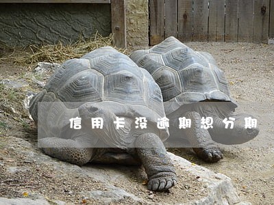 信用卡没逾期想分期