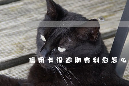 信用卡没逾期有利息怎么算 信用卡没逾期有利息怎么算