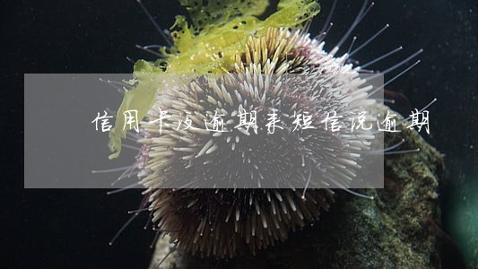 信用卡没逾期来短信说逾期 信用卡没逾期来短信说逾期