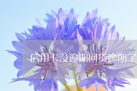 信用卡没逾期网贷逾期了怎么办 信用卡没逾期网贷逾期了怎么办