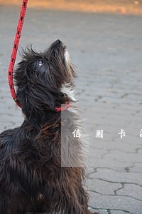 信用卡没逾期能办理公积金吗 信用卡没逾期能办理公积金吗