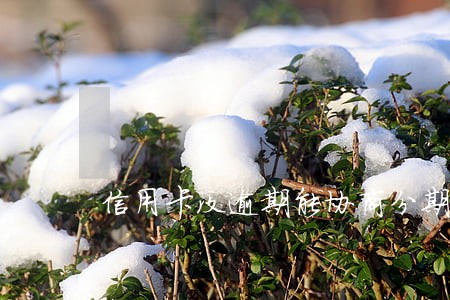 信用卡没逾期能协商分期吗