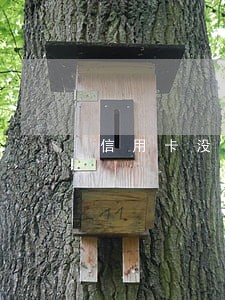 信用卡没逾期被冻结 信用卡没逾期被冻结