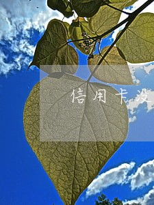 信用卡没逾期被注销怎么办 信用卡没逾期被注销怎么办