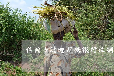 信用卡没逾期被银行注销