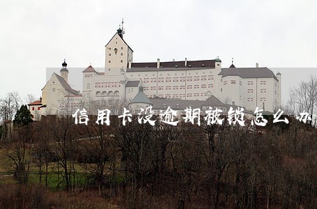 信用卡没逾期被锁怎么办 信用卡没逾期被锁怎么办