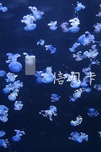 信用卡没逾期被降额度怎么办 信用卡没逾期被降额度怎么办