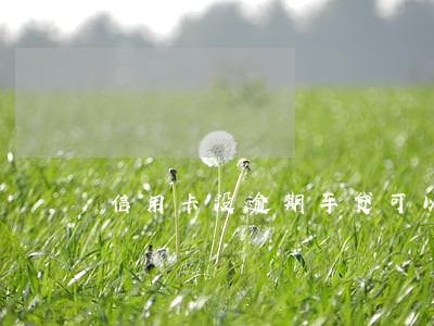 信用卡没逾期车贷可以么 信用卡没逾期车贷可以么