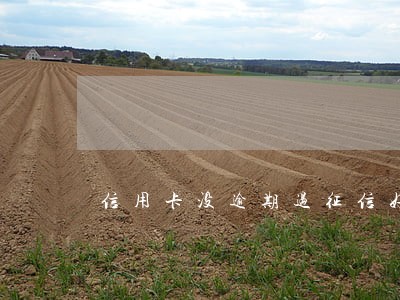 信用卡没逾期过征信好吗 信用卡没逾期过征信好吗