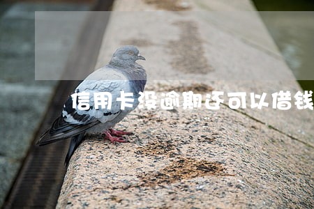 信用卡没逾期还可以借钱吗 信用卡没逾期还可以借钱吗