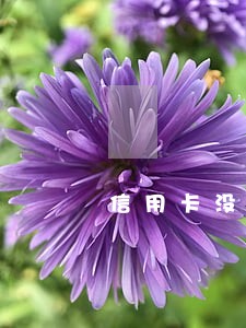 信用卡没逾期银行会上门吗上海 信用卡没逾期银行会上门吗上海