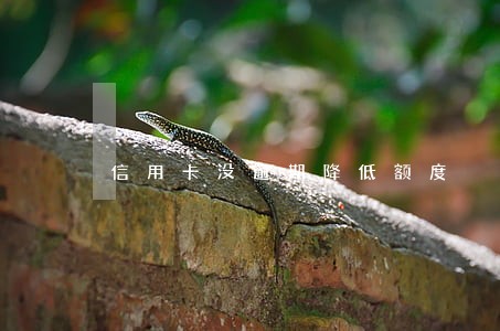 信用卡没逾期降低额度 信用卡没逾期降低额度