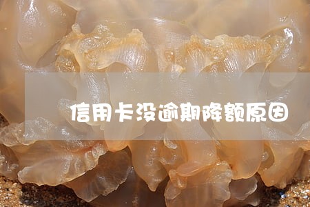 信用卡没逾期降额原因 信用卡没逾期降额原因