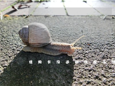 信用卡没逾期额度不涨 信用卡没逾期额度不涨