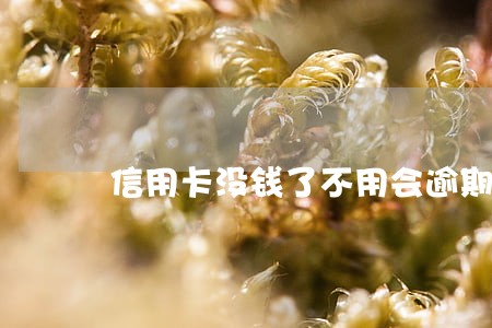 信用卡没钱了不用会逾期吗