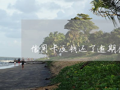 信用卡没钱还了逾期会咋样