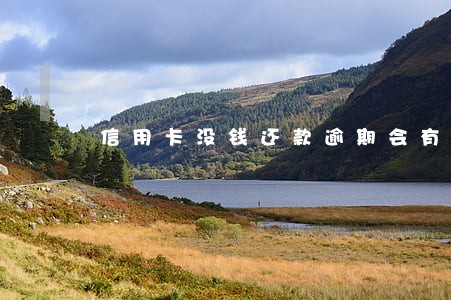 信用卡没钱还款逾期会有什么后果